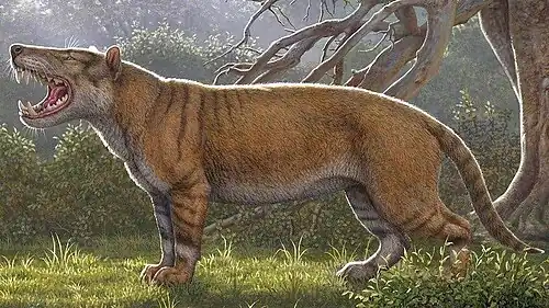 Реконструкция