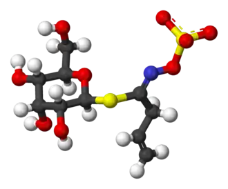 Изображение молекулярной модели