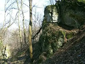 Заповедник «Паненские скалы»