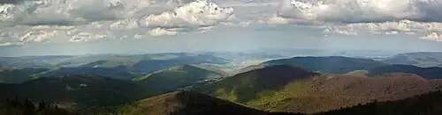 Панорама парка