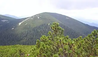 В заказнике Грофа