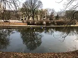 Очистка пруда в 2021 году