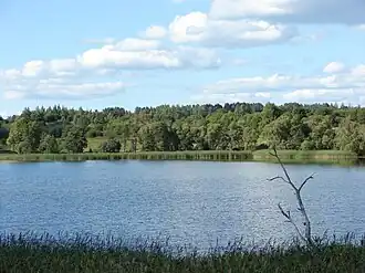 Вид на озеро Солошу летом 2008 года