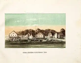 Изображение 1884 года