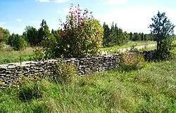 Типичная ограда из плитняка