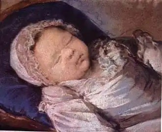 Портрет Софии кисти Элизабет Виже-Лебрен.Портрет был частью большой картины,
изображавшей Марию-Антуанетту с детьми, однако после смерти принцессы её изображение было удалено