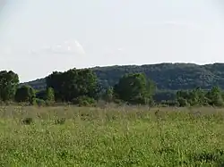 Лес в долине Хопра. 2015