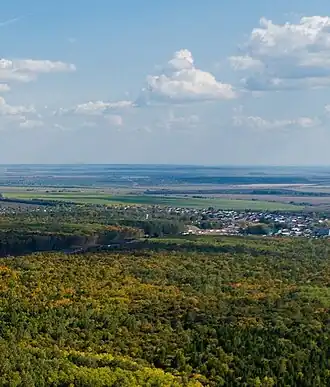 Вид на деревню с воздуха.