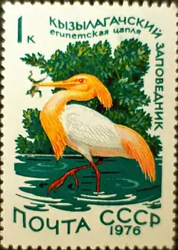 Кызылагачский заповедник13 апреля 2012