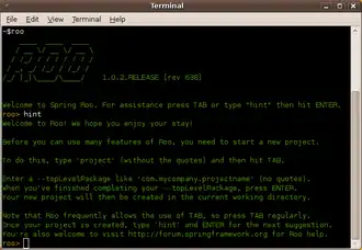 Скриншот программы Spring Roo
