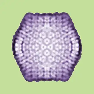 Вирофаги7 марта 2018