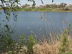 Средний Егорлык в Сальске перед плотиной