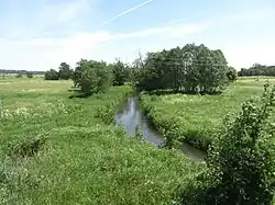 Среднее течение Вяркне около деревни Стаклишкес летом 2016 года