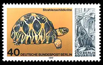 Лучистая черепаха на марке Германии 1997 года