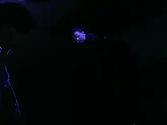 Штефан Кнаппе, 2014 год