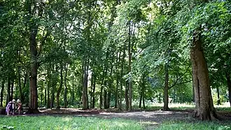 Барский парк