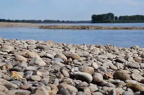 Каменистый пляж реки Бия