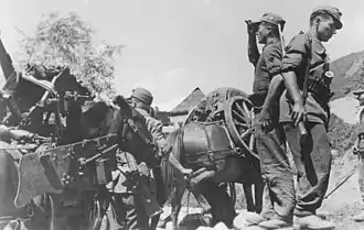 Албанские добровольцы Ваффен-СС, сентябрь 1944 год