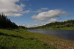 Сула ниже слияния с Щучьей