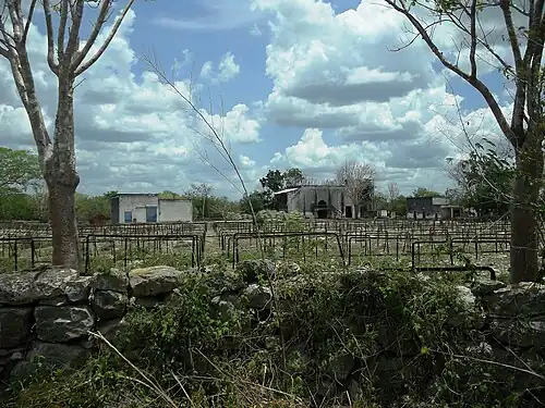 На археологических раскопках