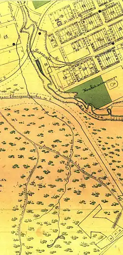 Светлушка в 1908 году