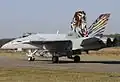Швейцарский F/A-18C J-5011