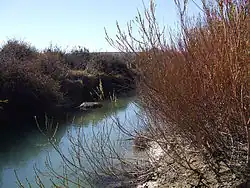 Чалия у Трес-Лагос