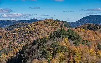 Пейзаж в высокогорной части парка