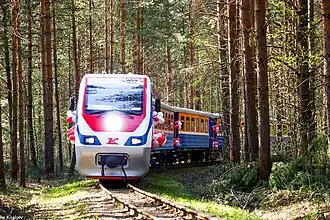 Тепловоз ТУ10-024 с поездом на перегоне Пионерская — Яковлевская