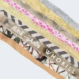 Обложка альбома Tune-Yards «Whokill» (2011)