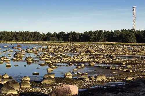 Берег моря в Тахкуна