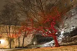 В Рождество 2013 года