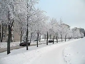 Январь 2010 года