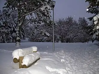 В ботаническом саду1 января 2010 года