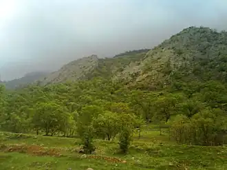 Танге вокруг города Гечсаран, ранняя весна