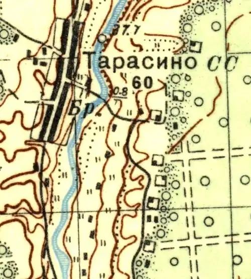 План деревни Тарасино. 1937 год