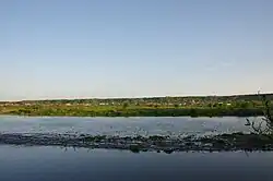 Среднее течение реки около Тыргу-Тротуша