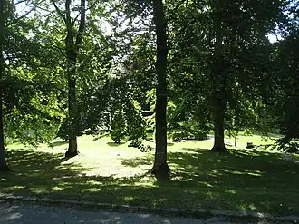 В замковом парке