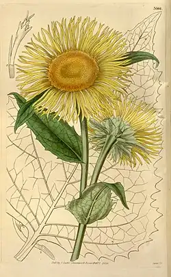 Телекия24 декабря 2018