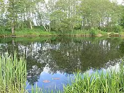 Тянянис в 90 м от устья весной 2012 года