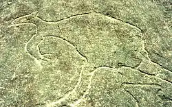 Наскальное изображение в Терри-Хилс[англ.] (Новый Южный Уэльс)