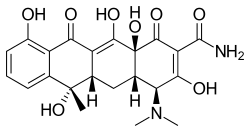 Tetracycline_skeletal
