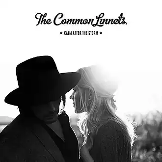 Обложка сингла «The Common Linnets» «Calm After the Storm» (2014)