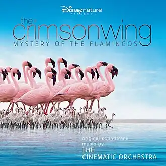 Обложка альбома The Cinematic Orchestra «The Crimson Wing: Mystery of the Flamingos» (2008)