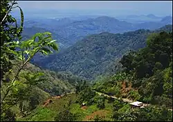 Леса Шри-Ланки