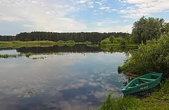 Ипуть около Добруша