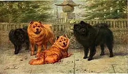 Группа чау-чау