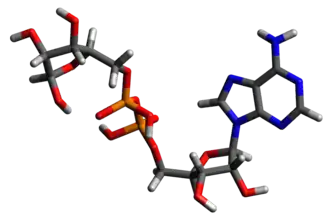 Изображение молекулярной модели