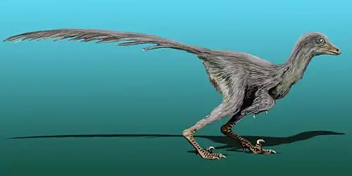Tianyuraptor в представлении художника