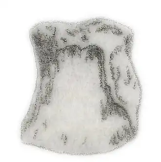 Позвонок Tichosteus lucasanus